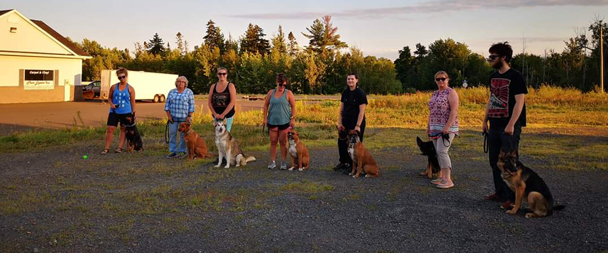 obedience class
