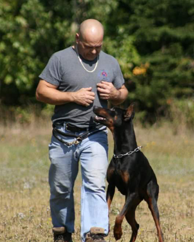 obedience 1